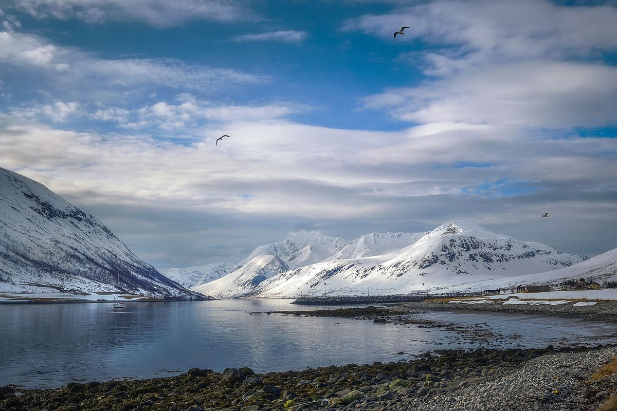 Mountain View, Kvaløya fjord, Norway