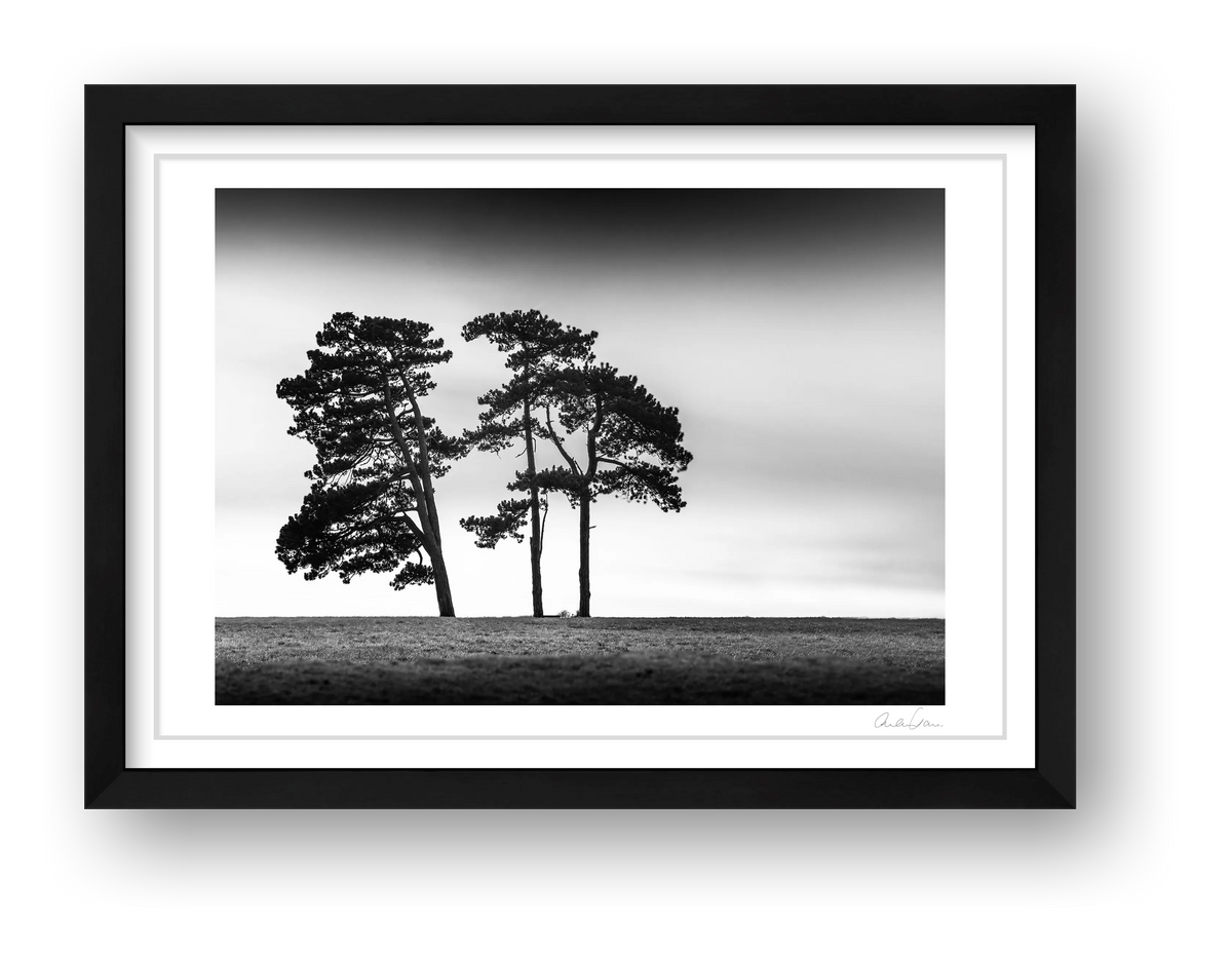 The 3 Sisters, Clifton Down, Bristol — framed