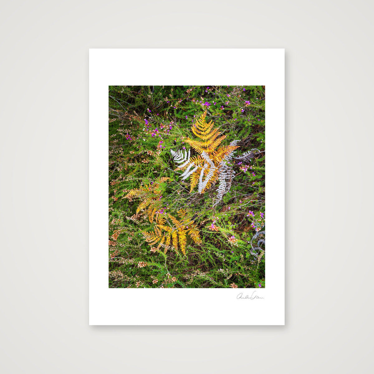 Autumn Fall — A4 (21×30cm) Print only