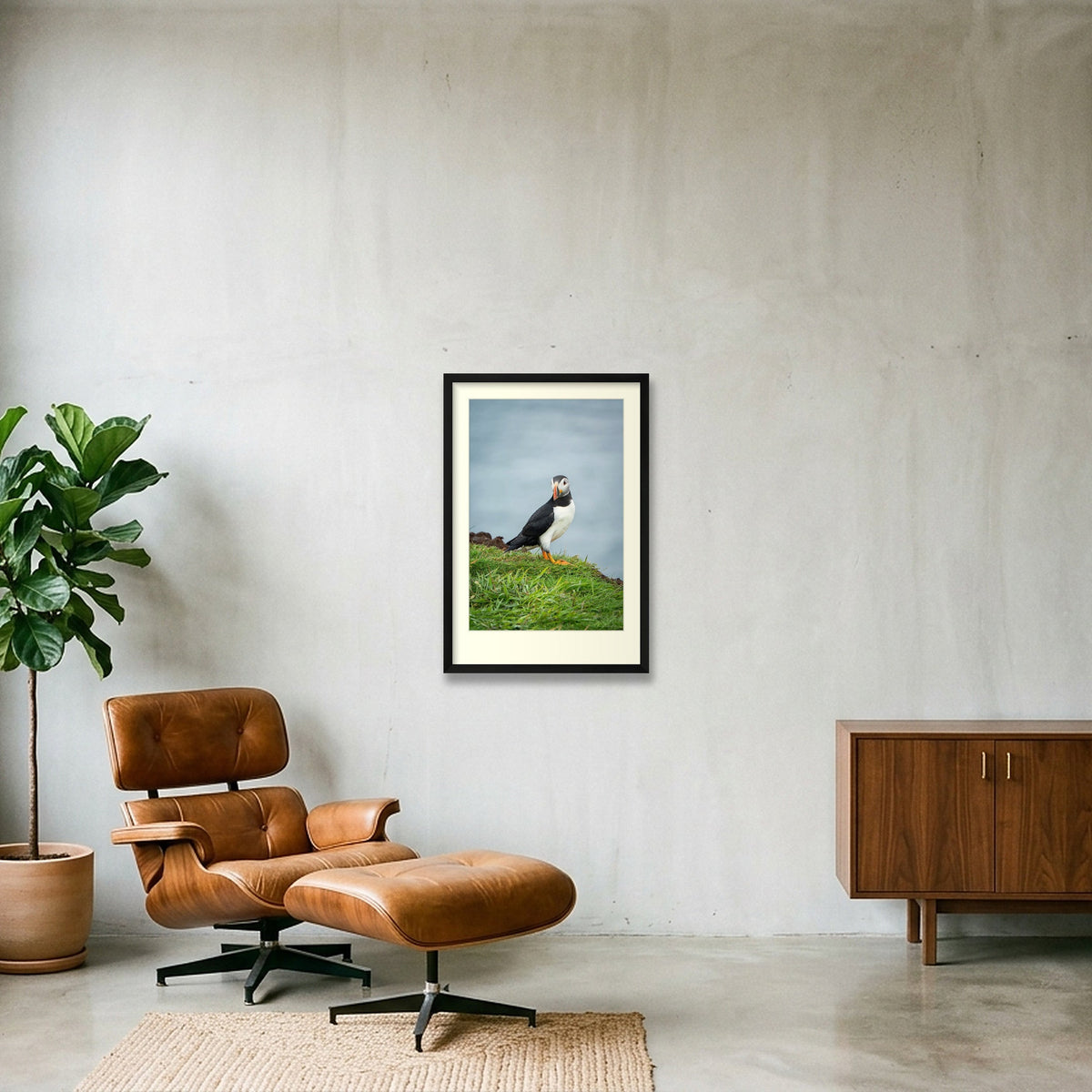 Puffin lookin, Skomer — 40×60cm Black Frame