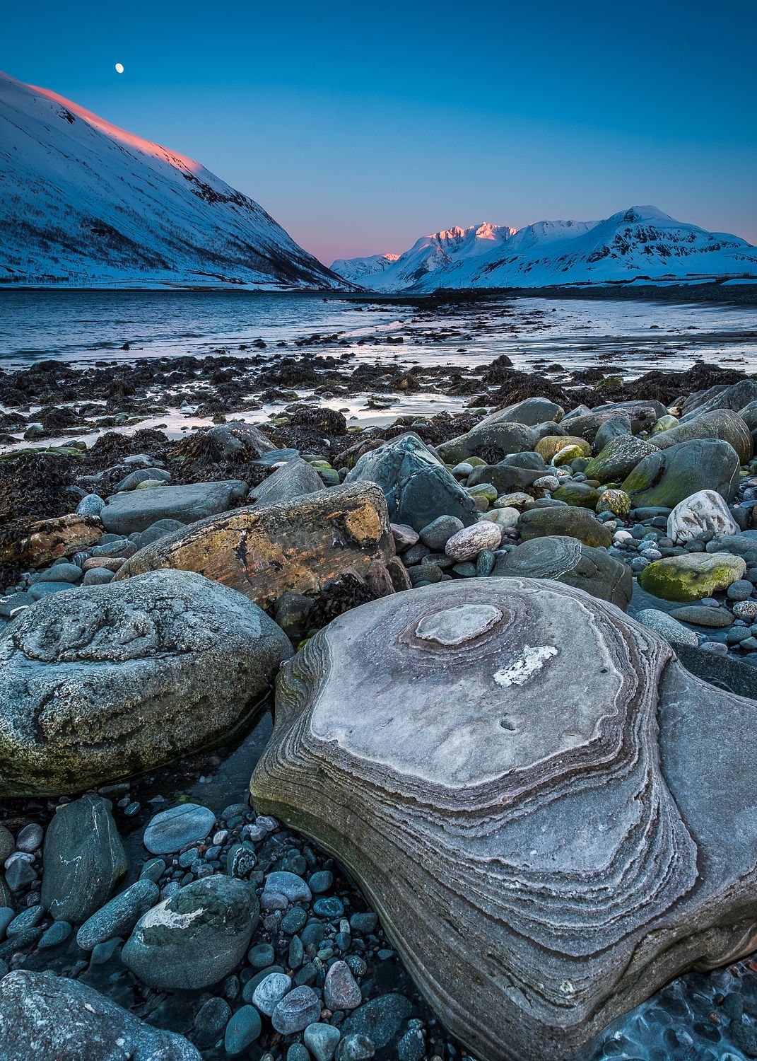 Seashore, Kvaløya Norway