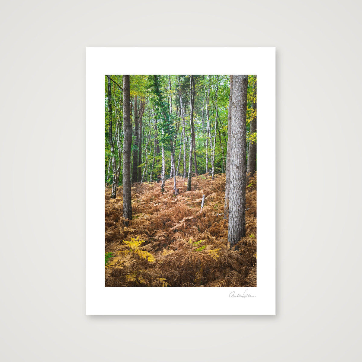 Standing Tall — A4 (21×30cm) Print only