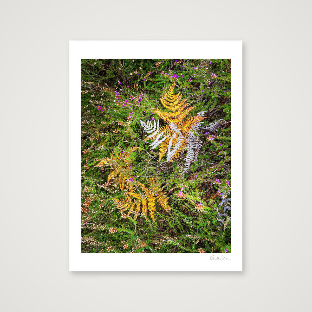 Autumn Fall — 60×80cm Print only