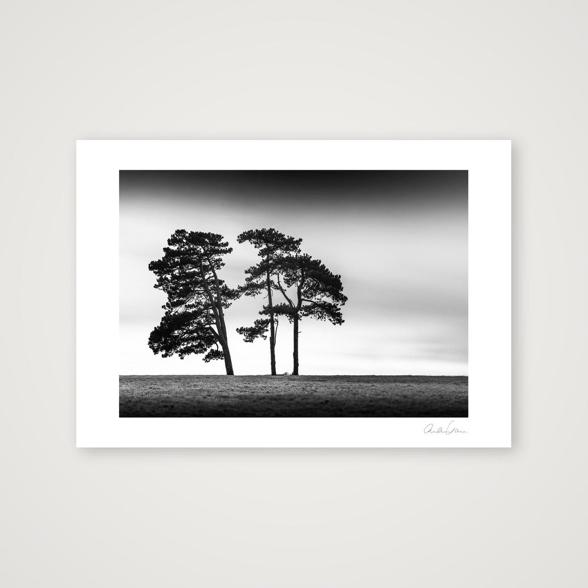 The 3 Sisters, Clifton Down, Bristol — A3 (42×30cm) Print only