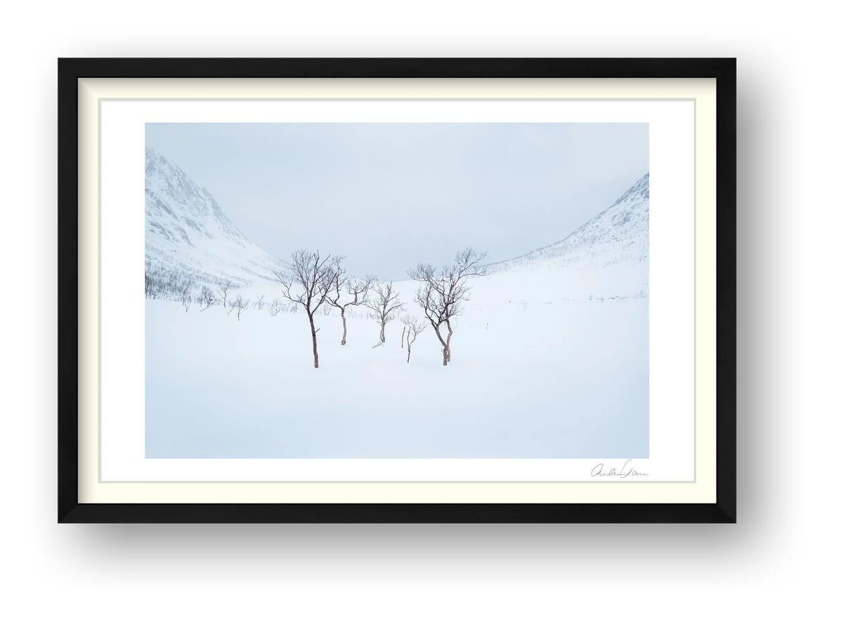Standing Strong, Norway Alpine Scene — framed