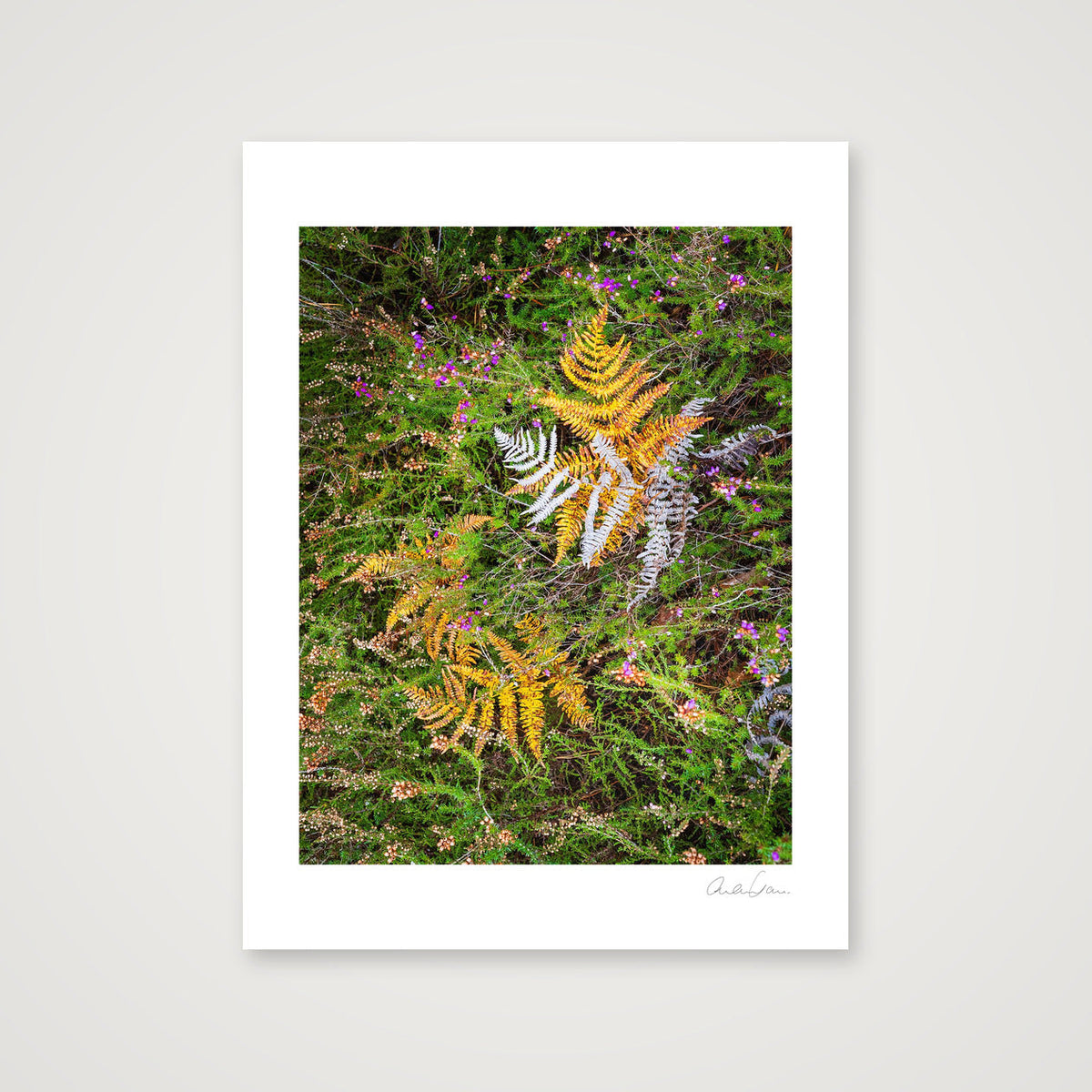 Autumn Fall — 30×40cm Print only