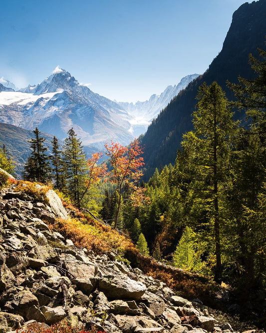 A dash of Alpine colour, Chamonix,