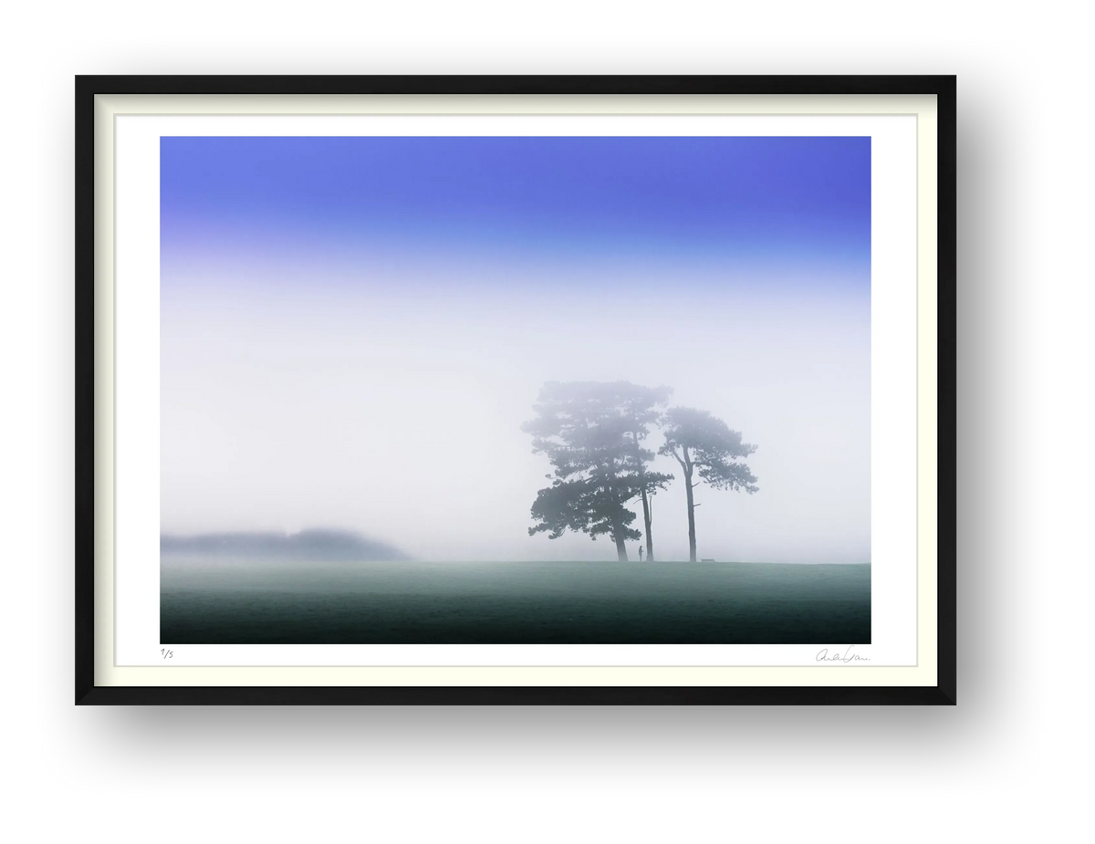 The Inky sisters — framed